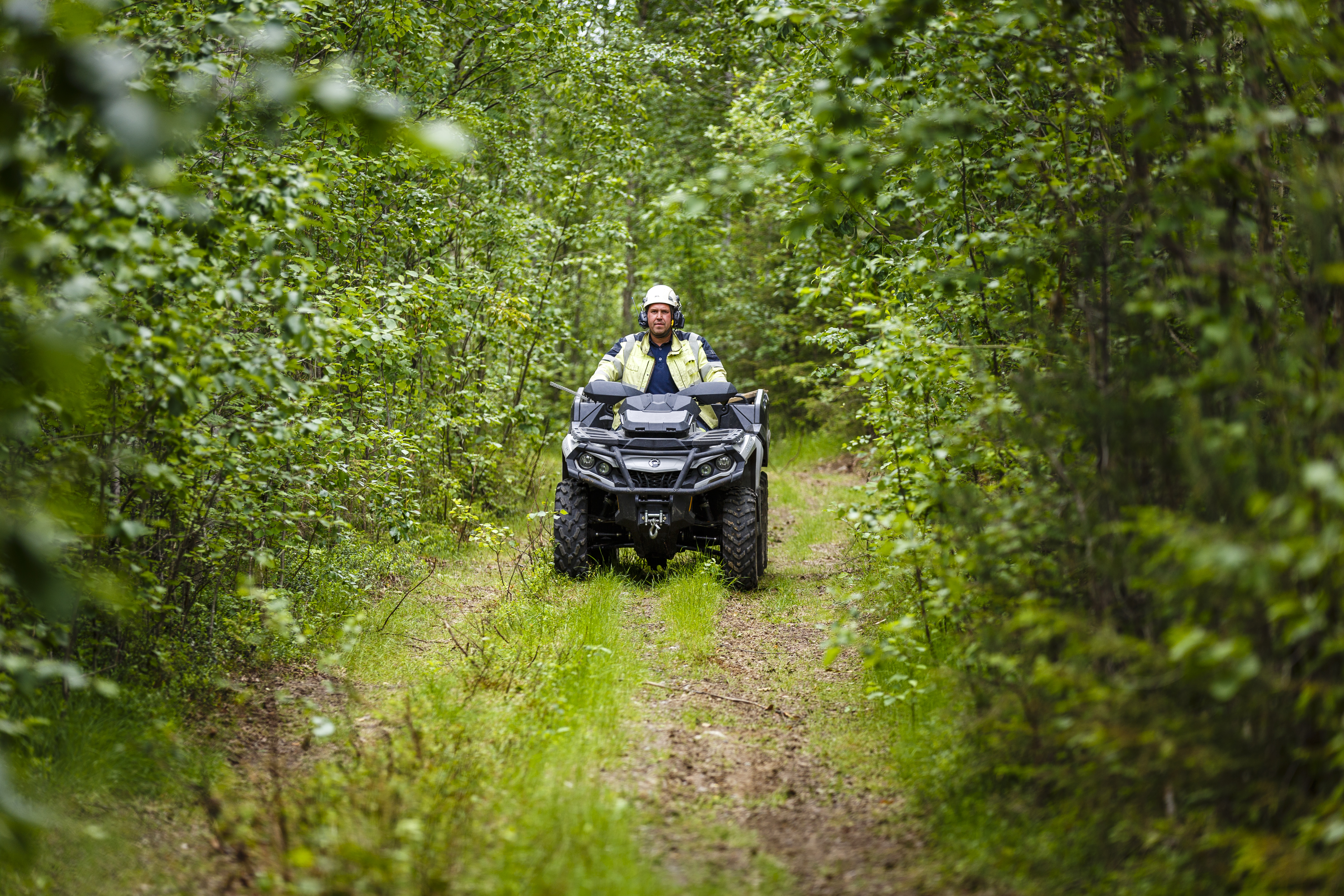 Man i gula arbetskläder och vit hjälm som kör fyrhjuling i skogen. Foto